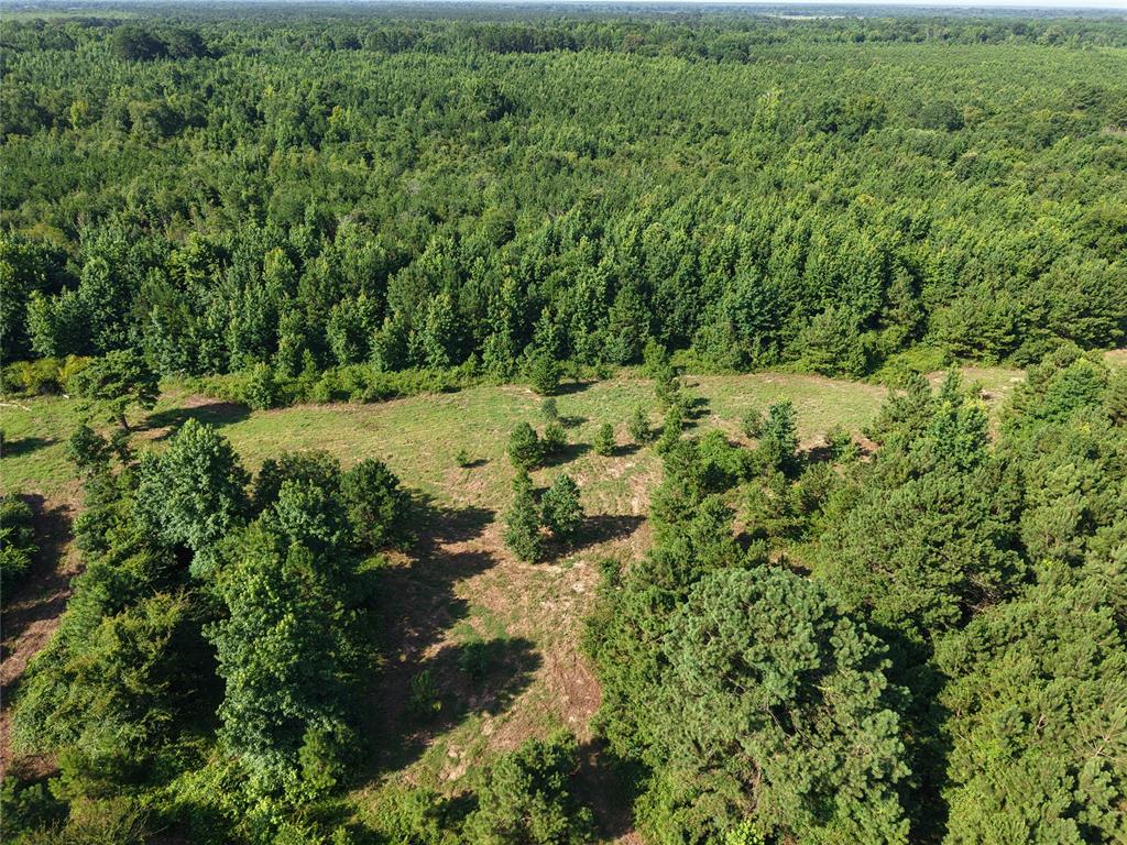 37 TBD Butler Road Road