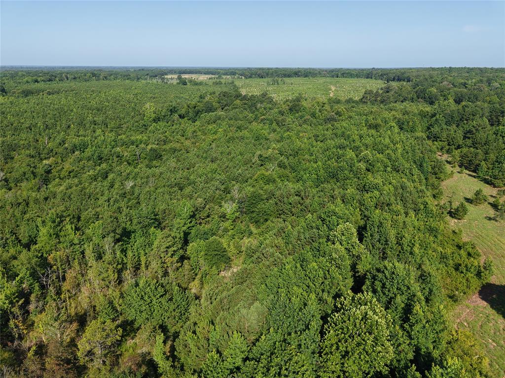 37 TBD Butler Road Road