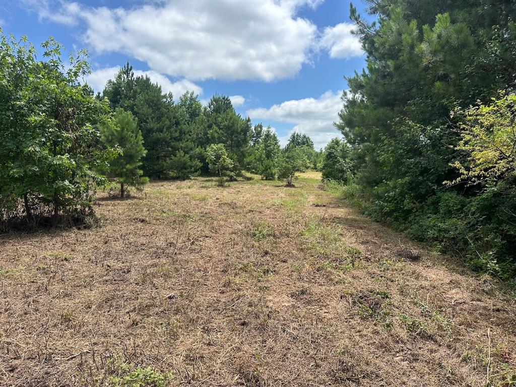 37 TBD Butler Road Road