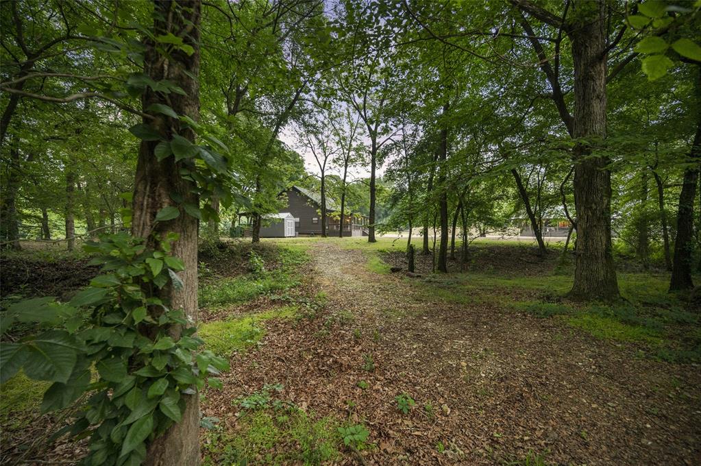 256 Wild Goose Road