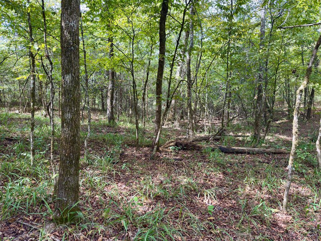 484 Old State Highway 4