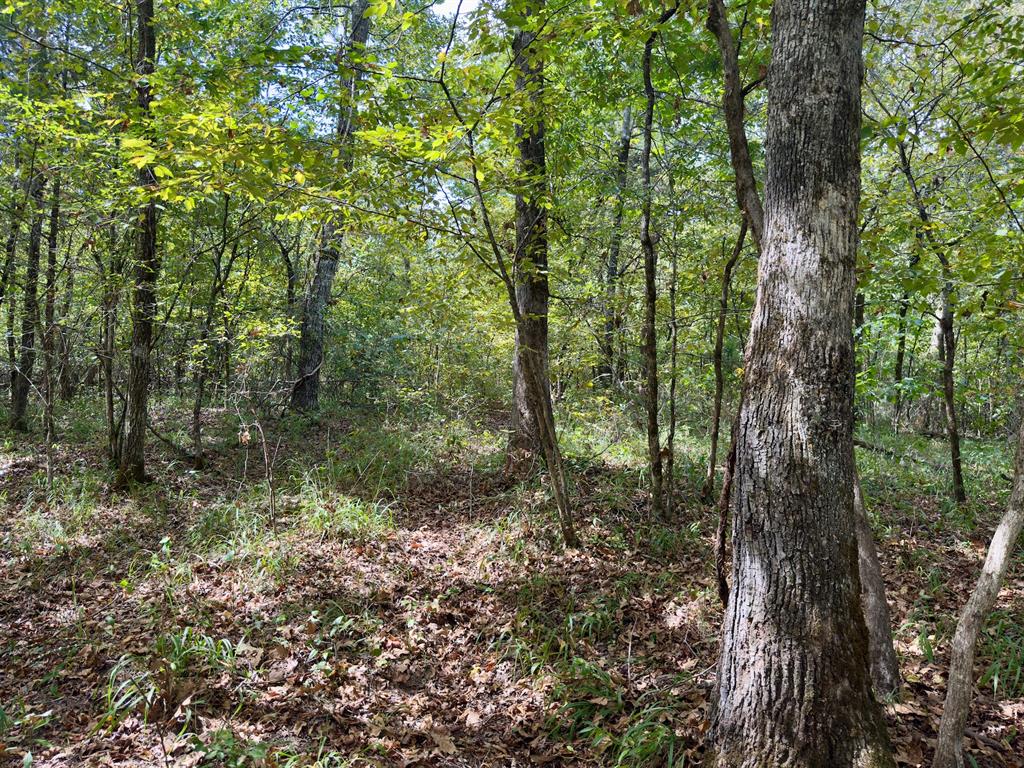 484 Old State Highway 4