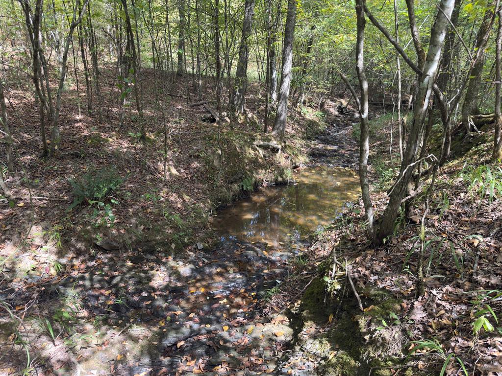 484 Old State Highway 4
