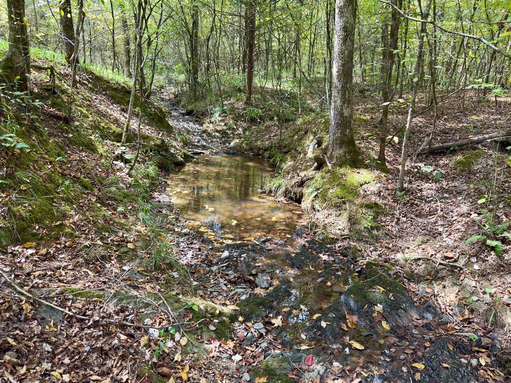 484 Old State Highway 4