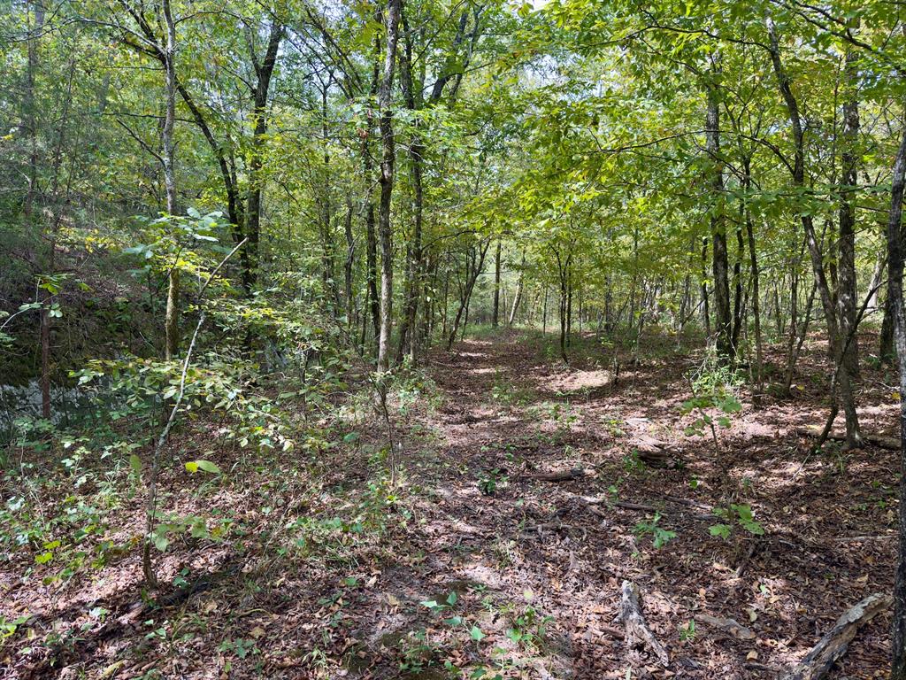 484 Old State Highway 4