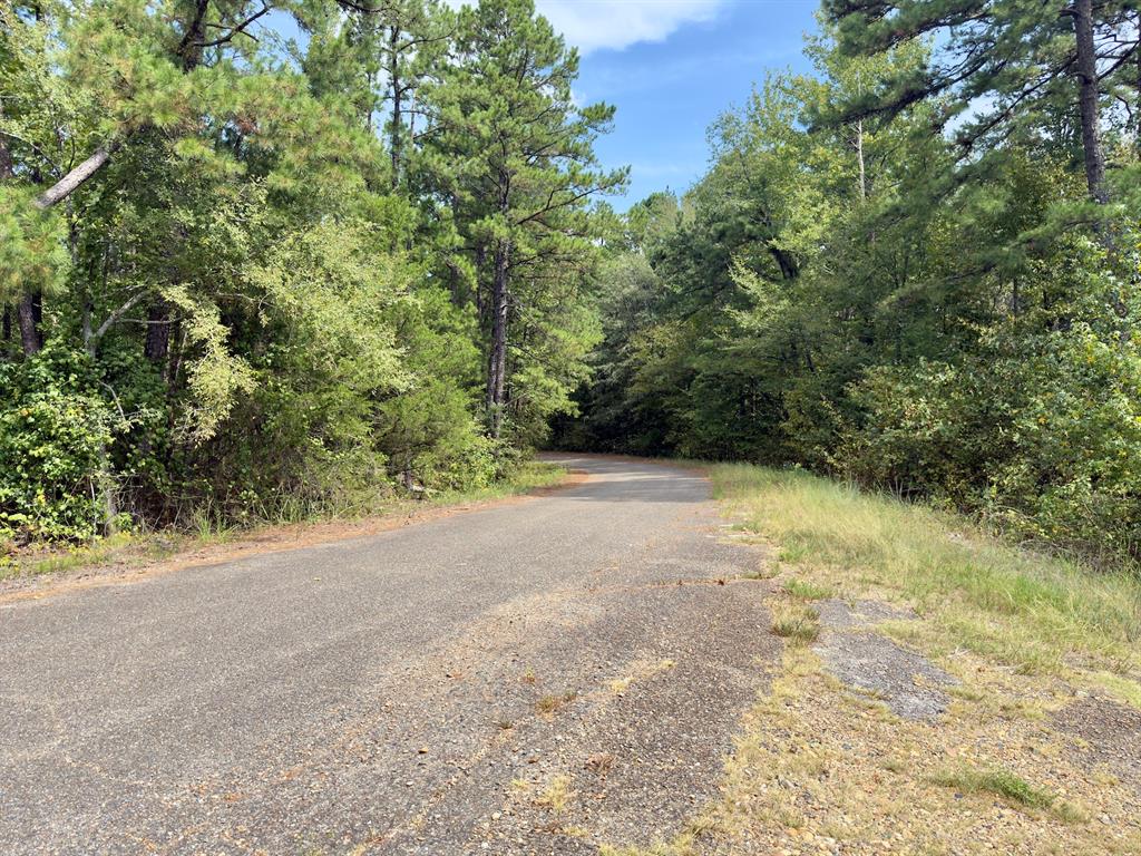 484 Old State Highway 4