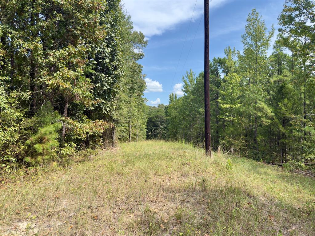 484 Old State Highway 4