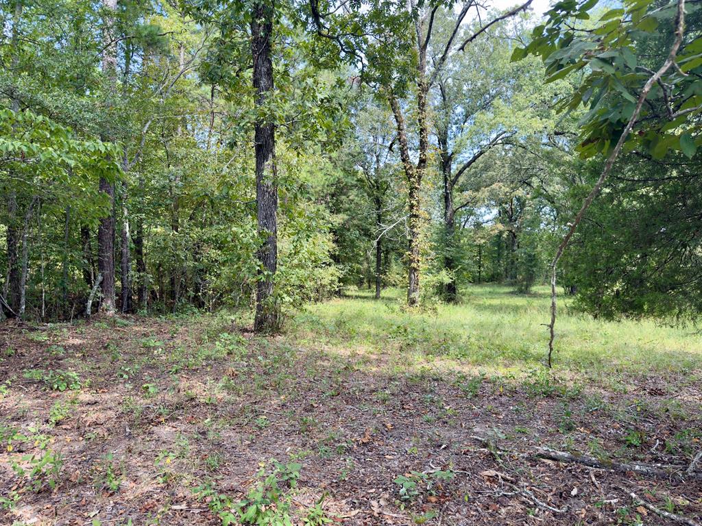 484 Old State Highway 4