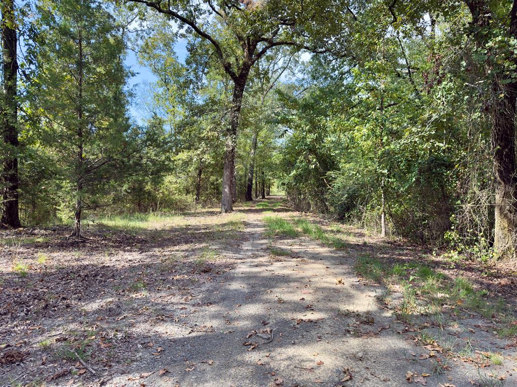 484 Old State Highway 4