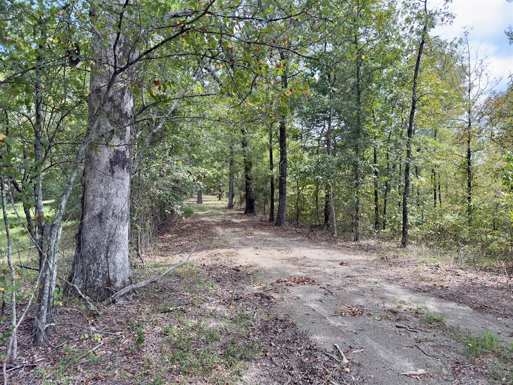484 Old State Highway 4