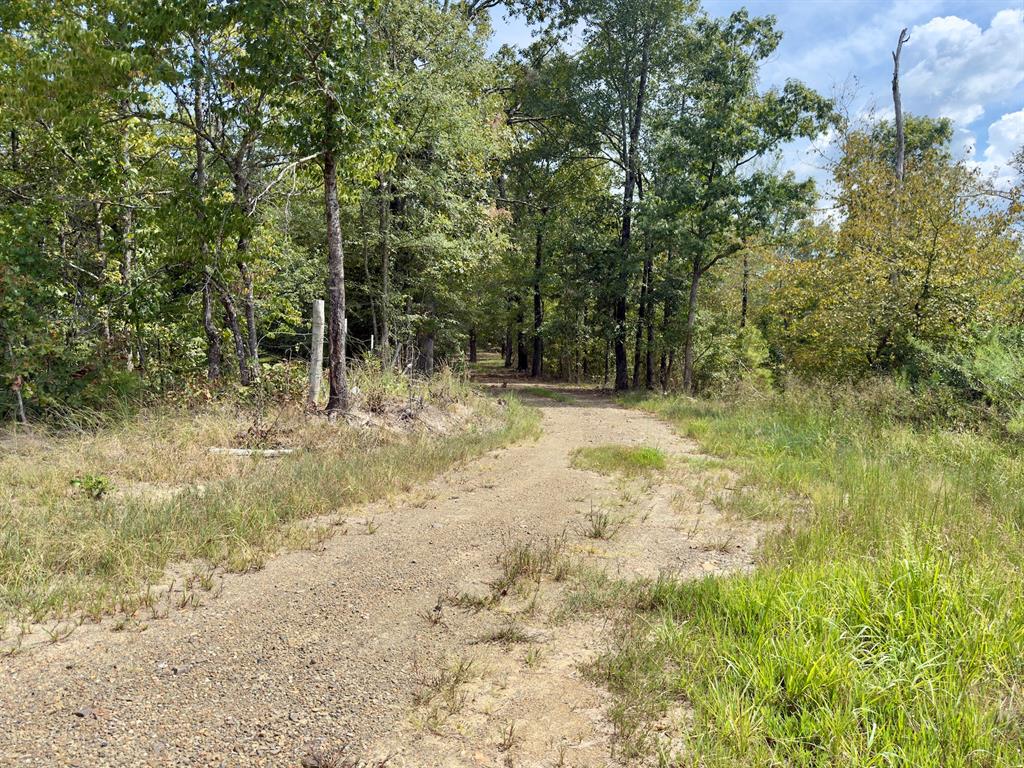 484 Old State Highway 4