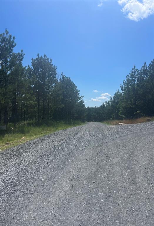 14 Morning Pines Trail