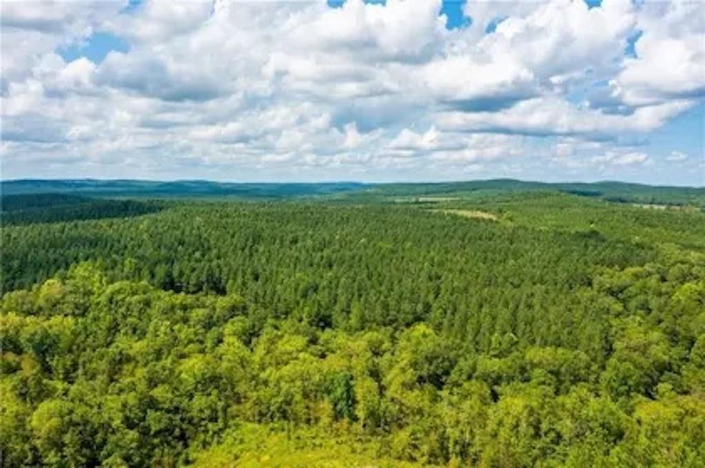 14 Morning Pines Trail