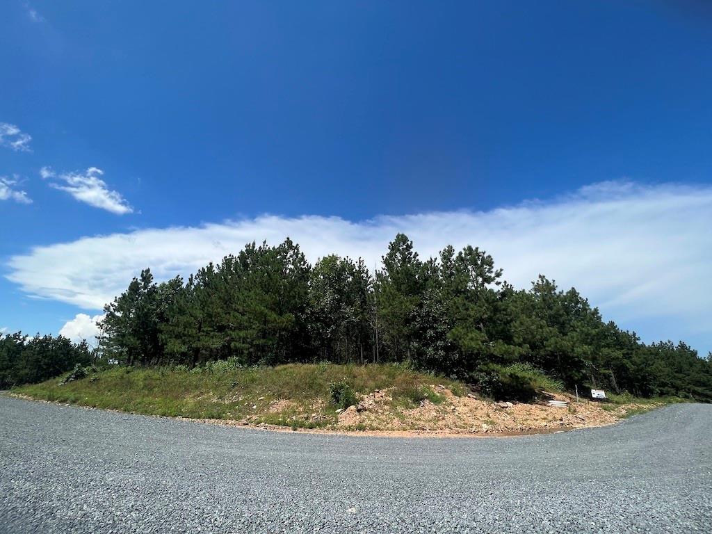 Wooded vacant lot beside a gravel road, with a rocky grassy clearing and small sign.