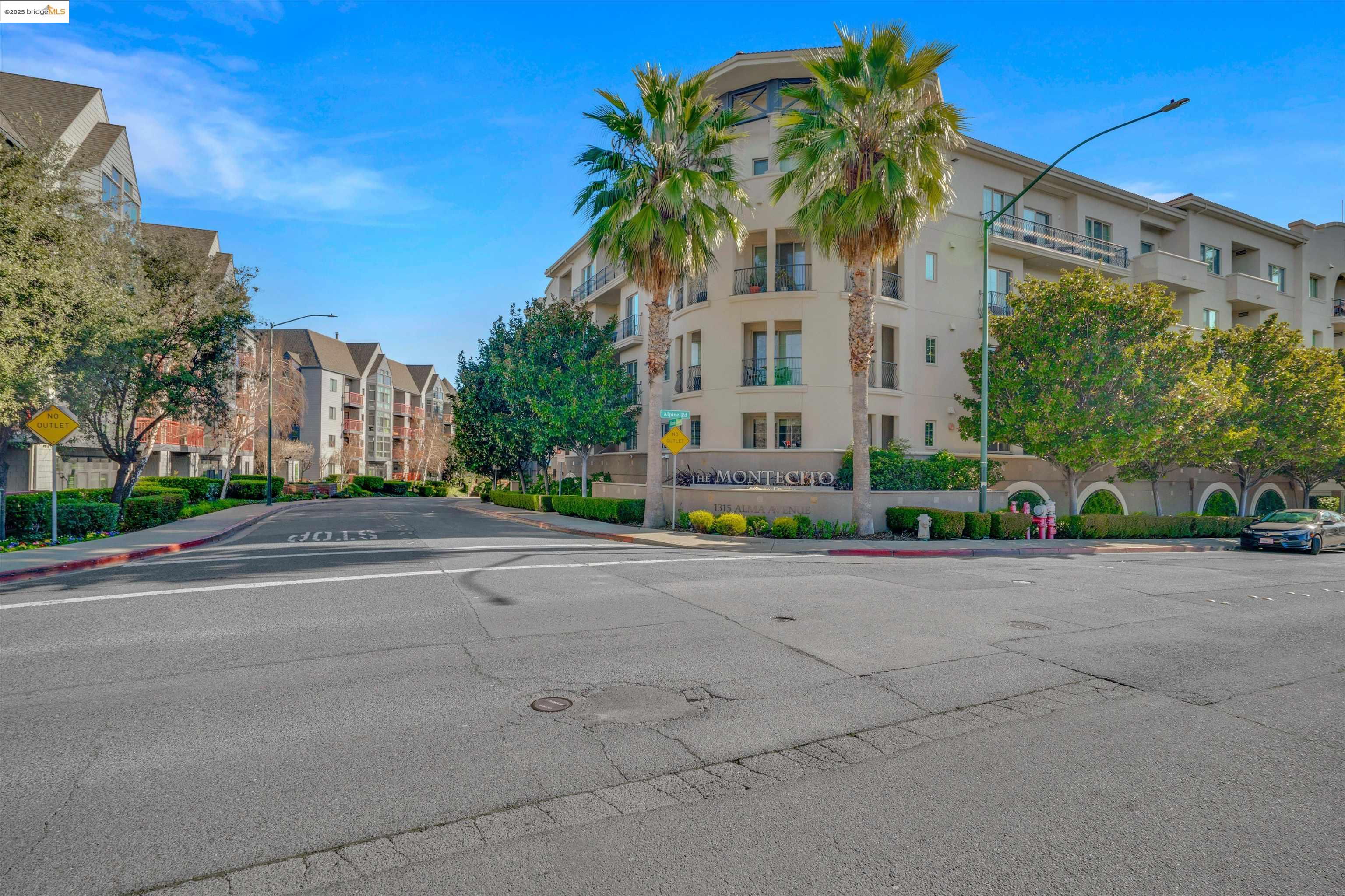 1315 Alma Ave # 346