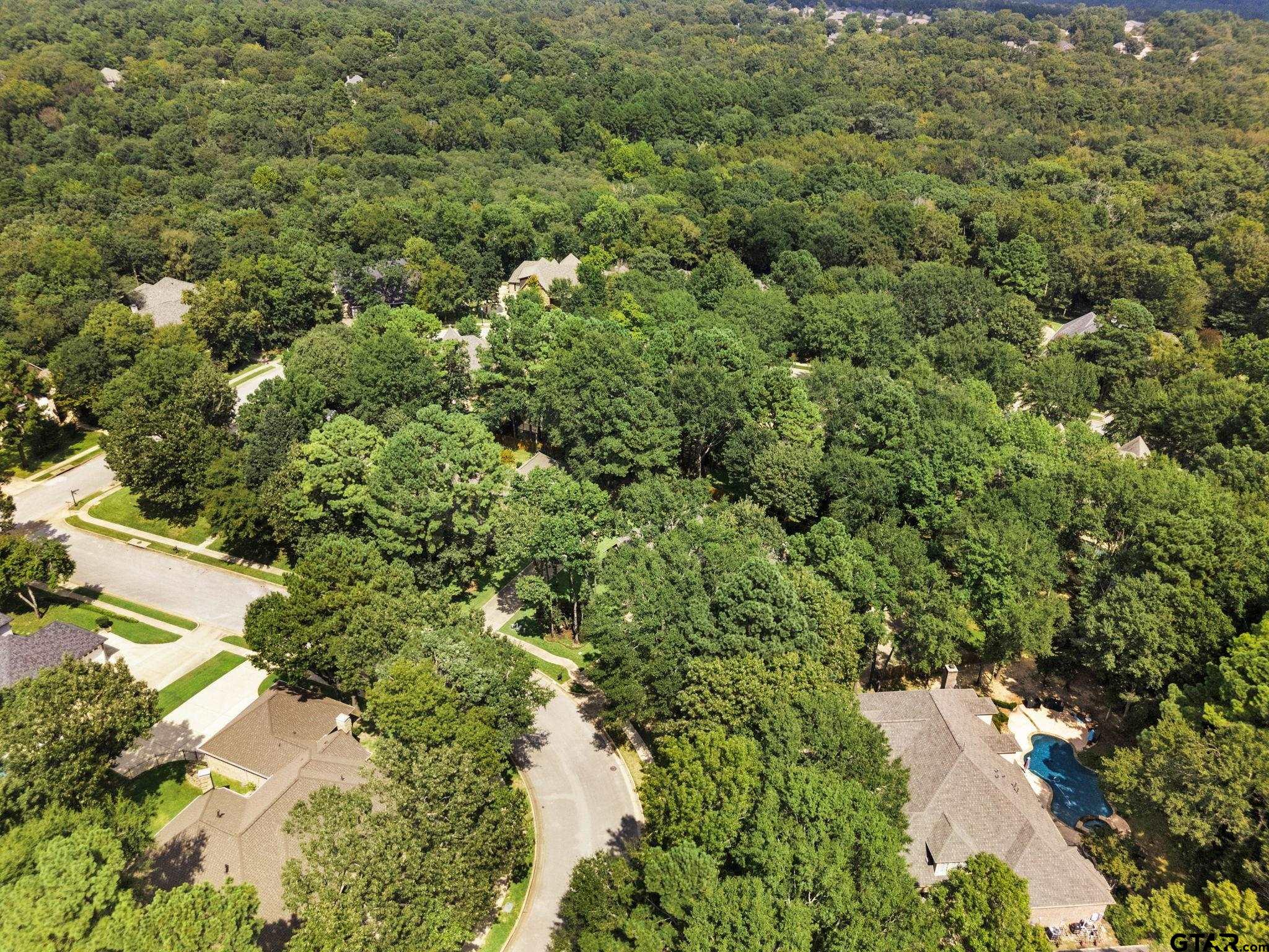 3687 Bentridge Court