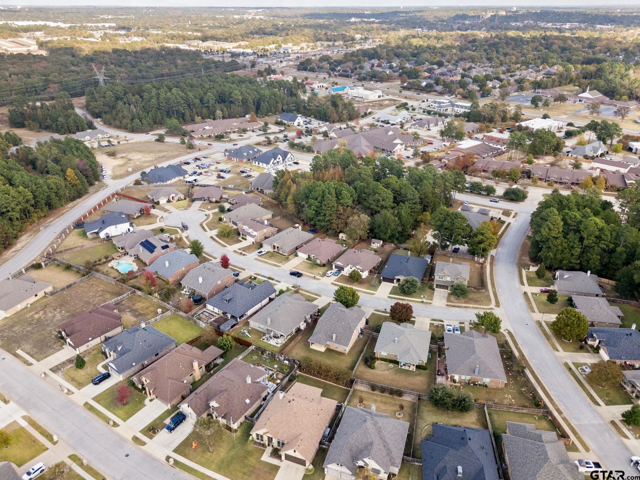 6679 Lacebark Cir