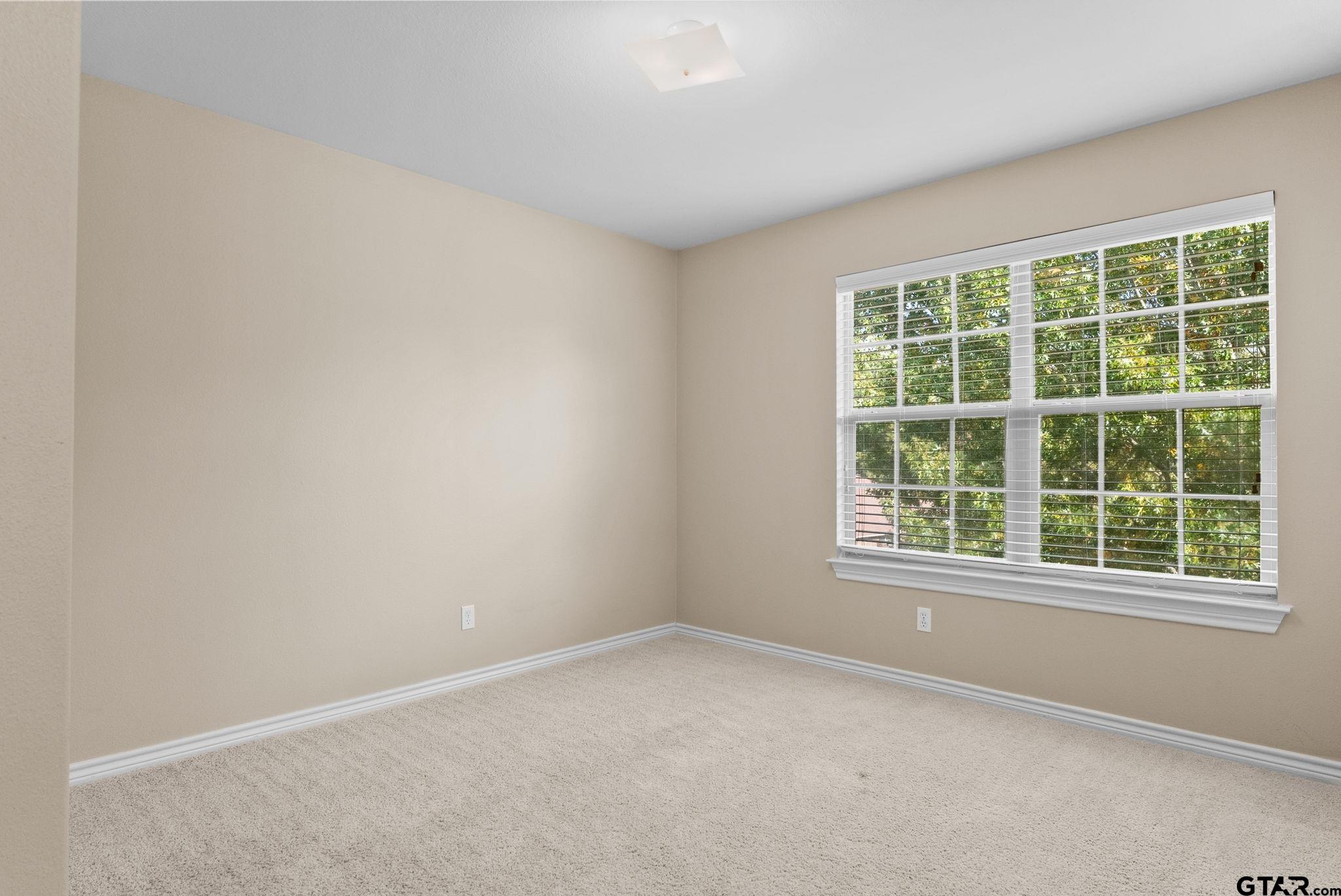 6679 Lacebark Cir