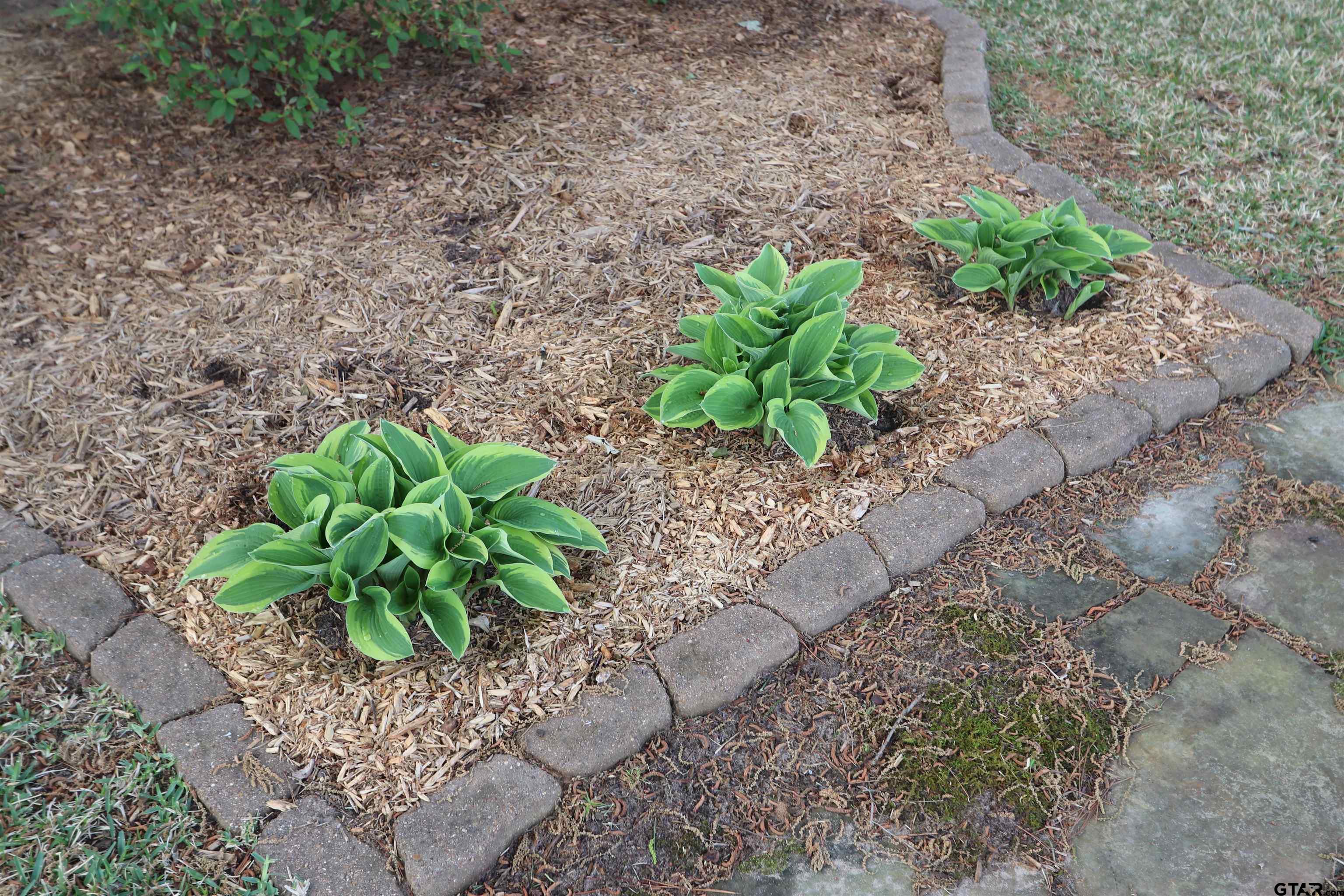 3407 Storey Lake Dr.