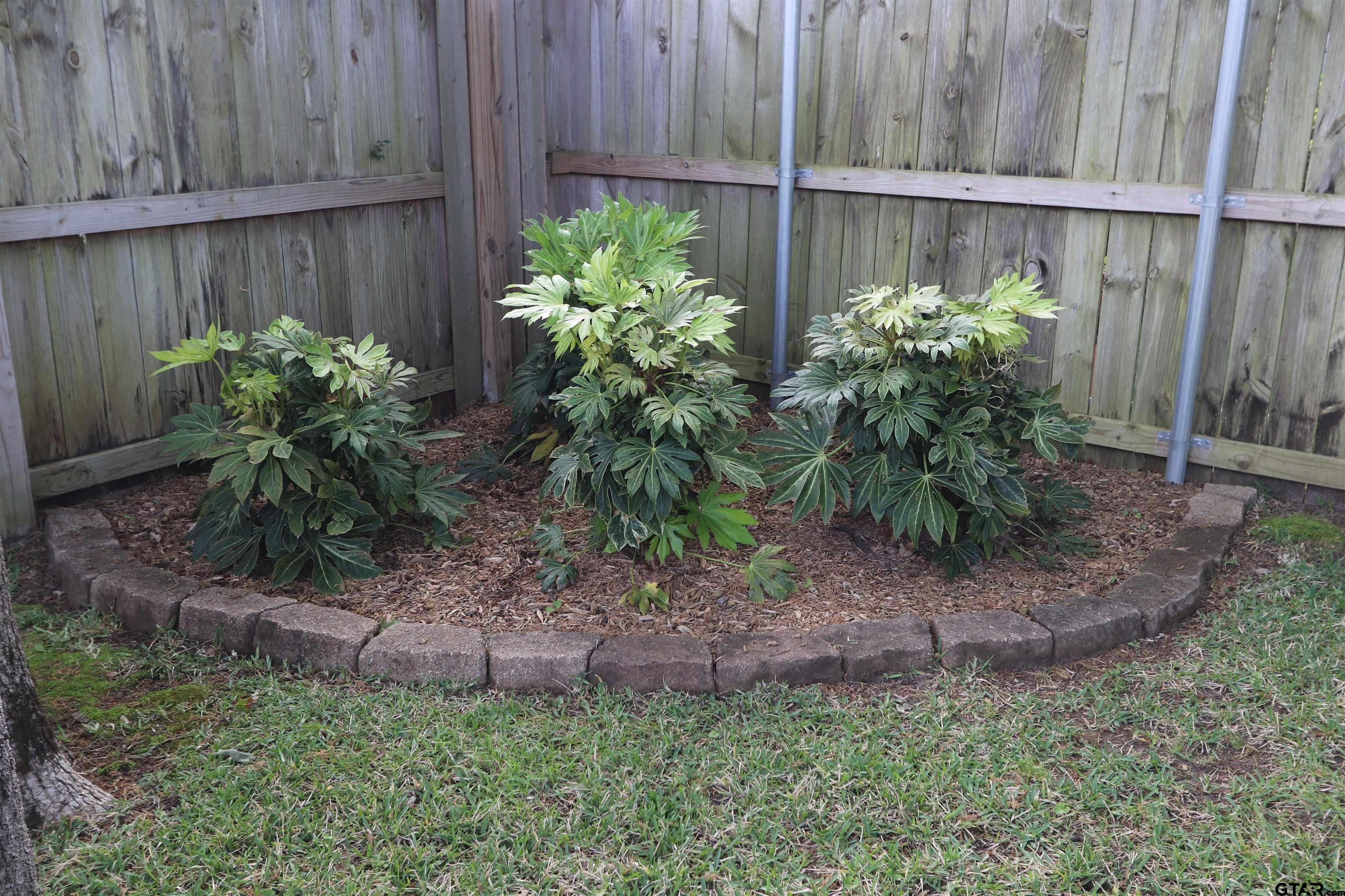 3407 Storey Lake Dr.