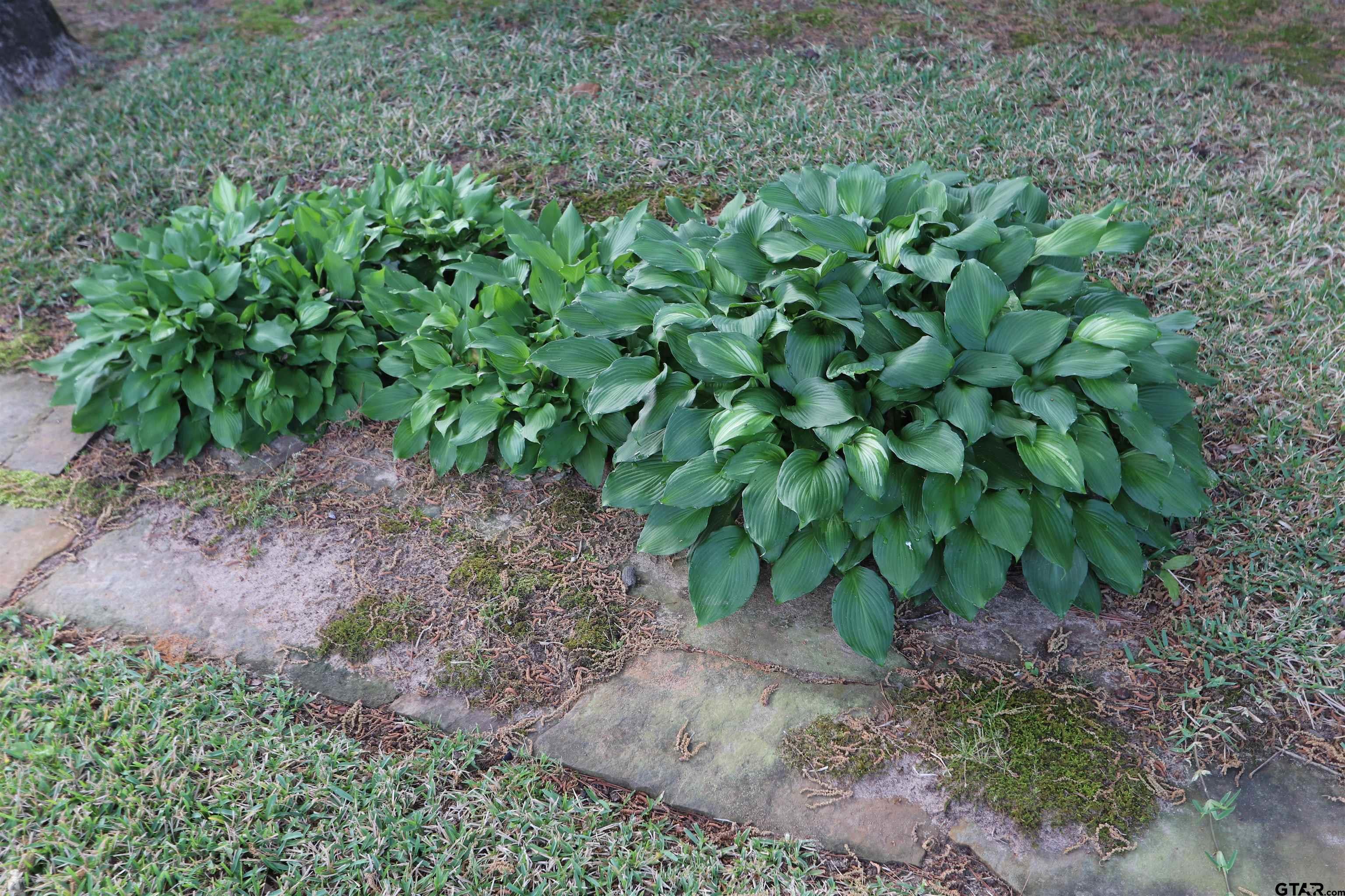 3407 Storey Lake Dr.