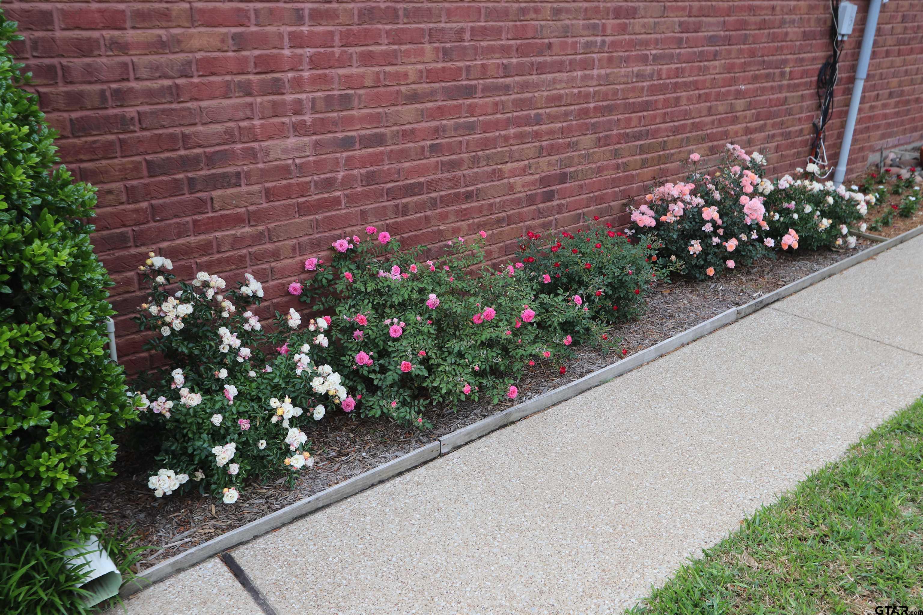 3407 Storey Lake Dr.