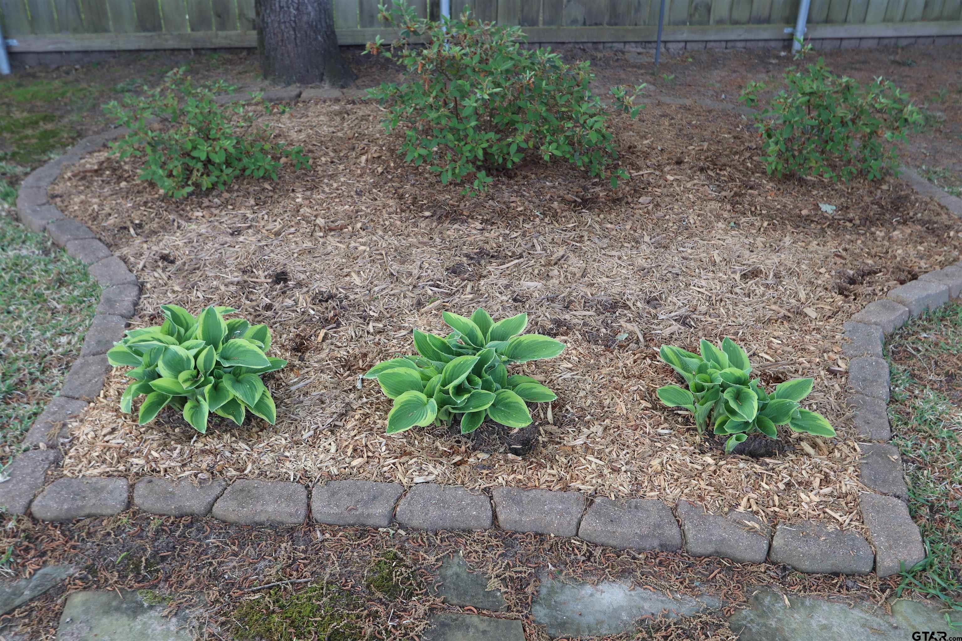 3407 Storey Lake Dr.