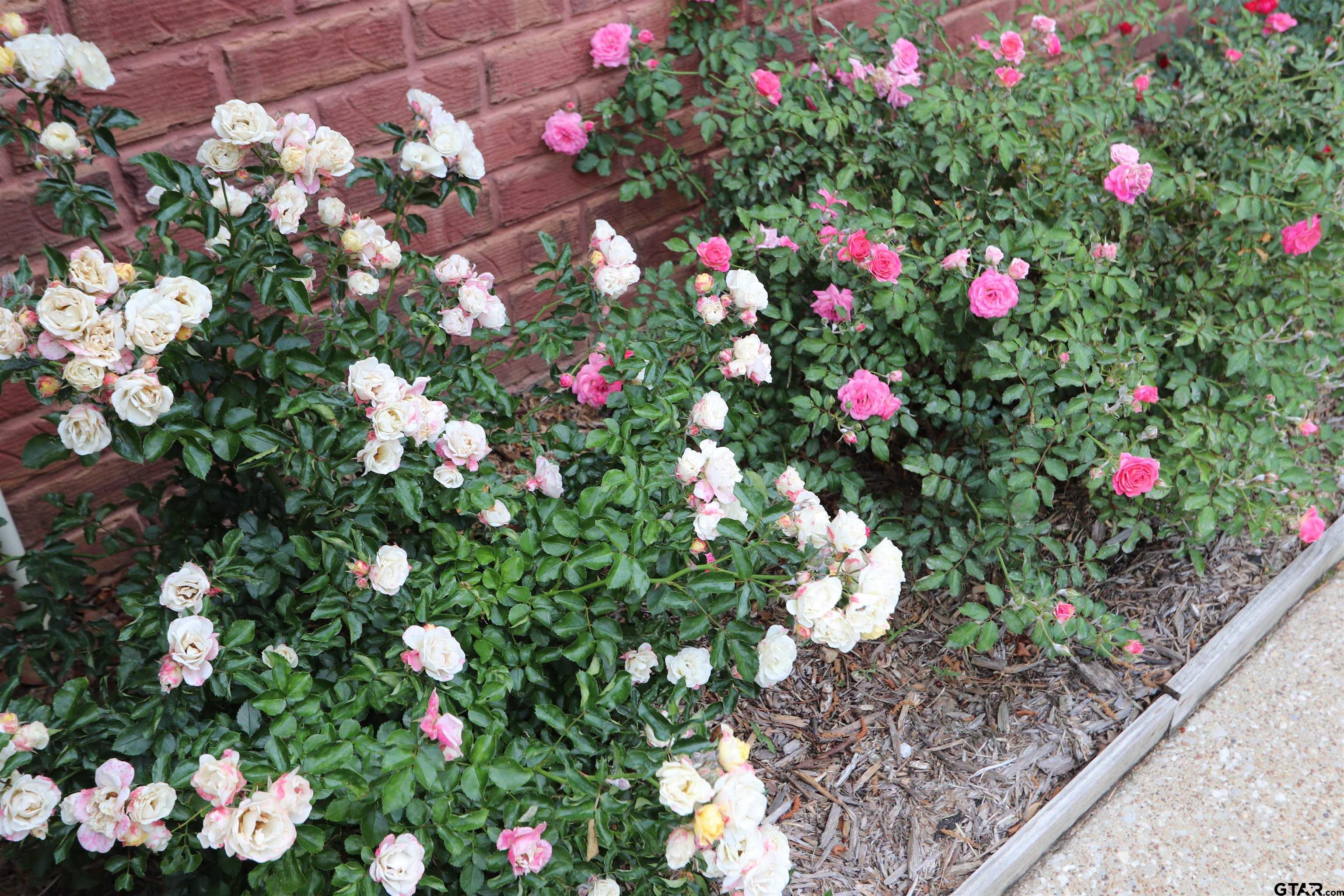 3407 Storey Lake Dr.