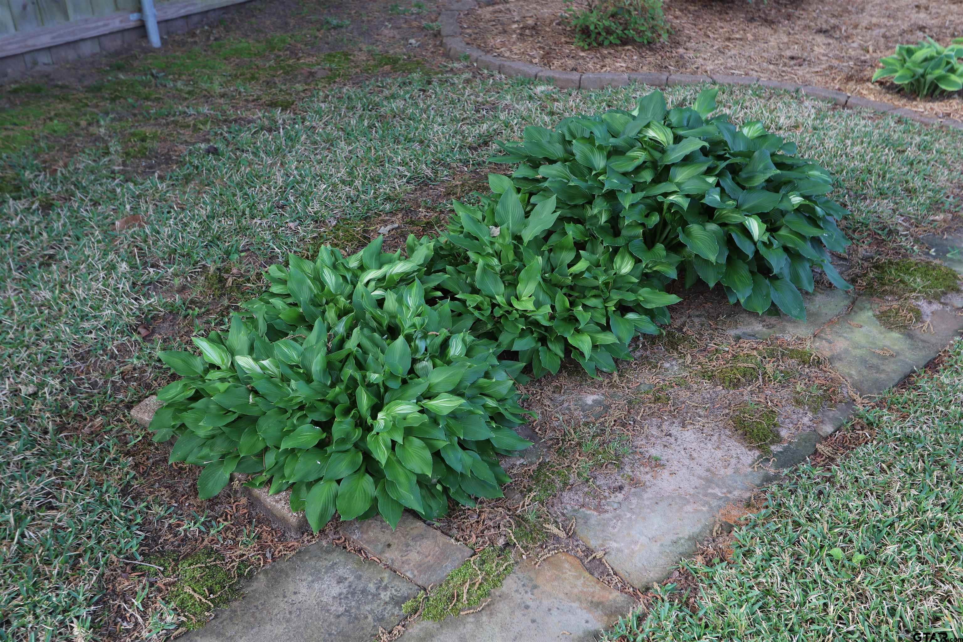 3407 Storey Lake Dr.