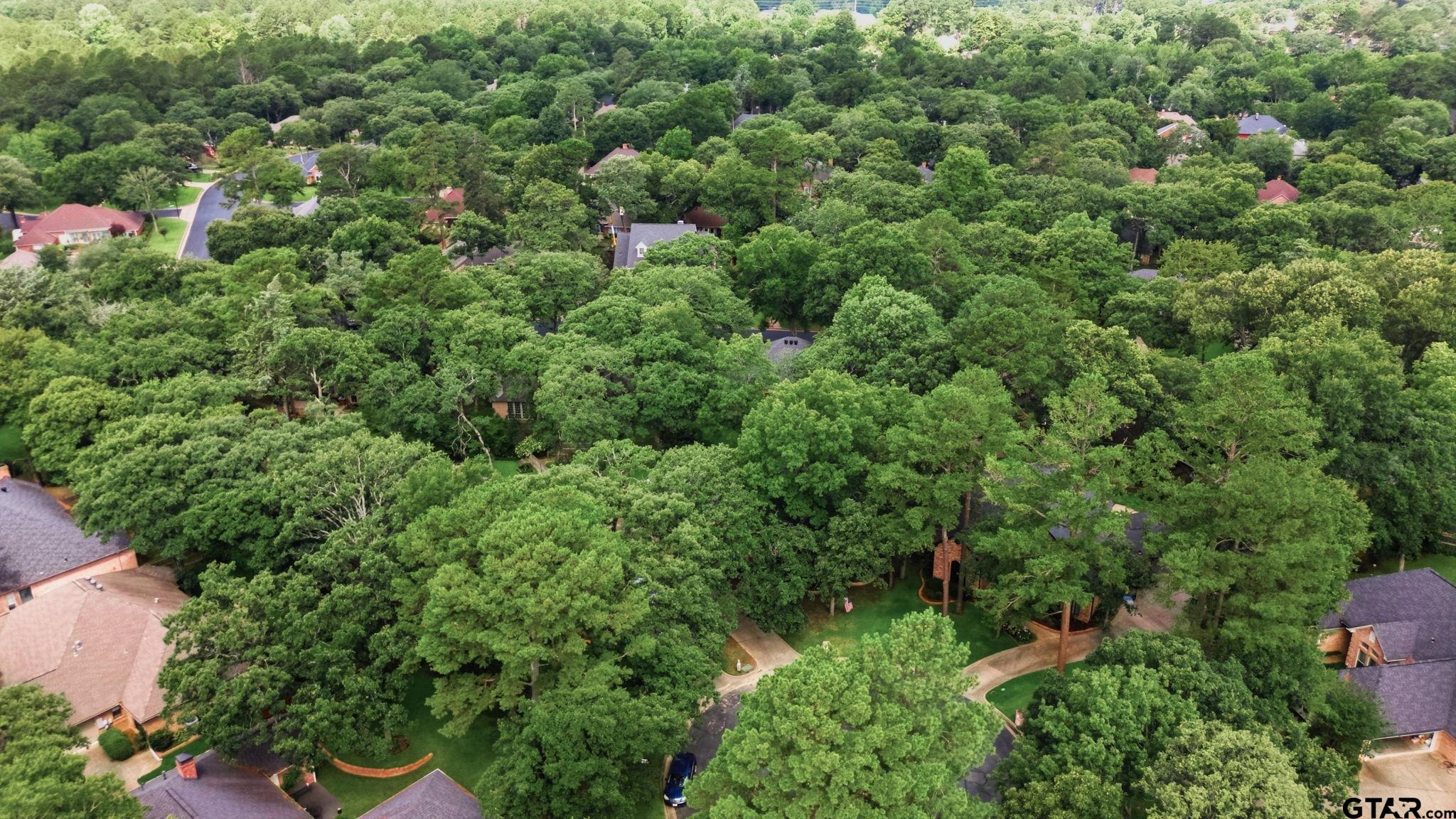 4117 Hollow Oak Cir