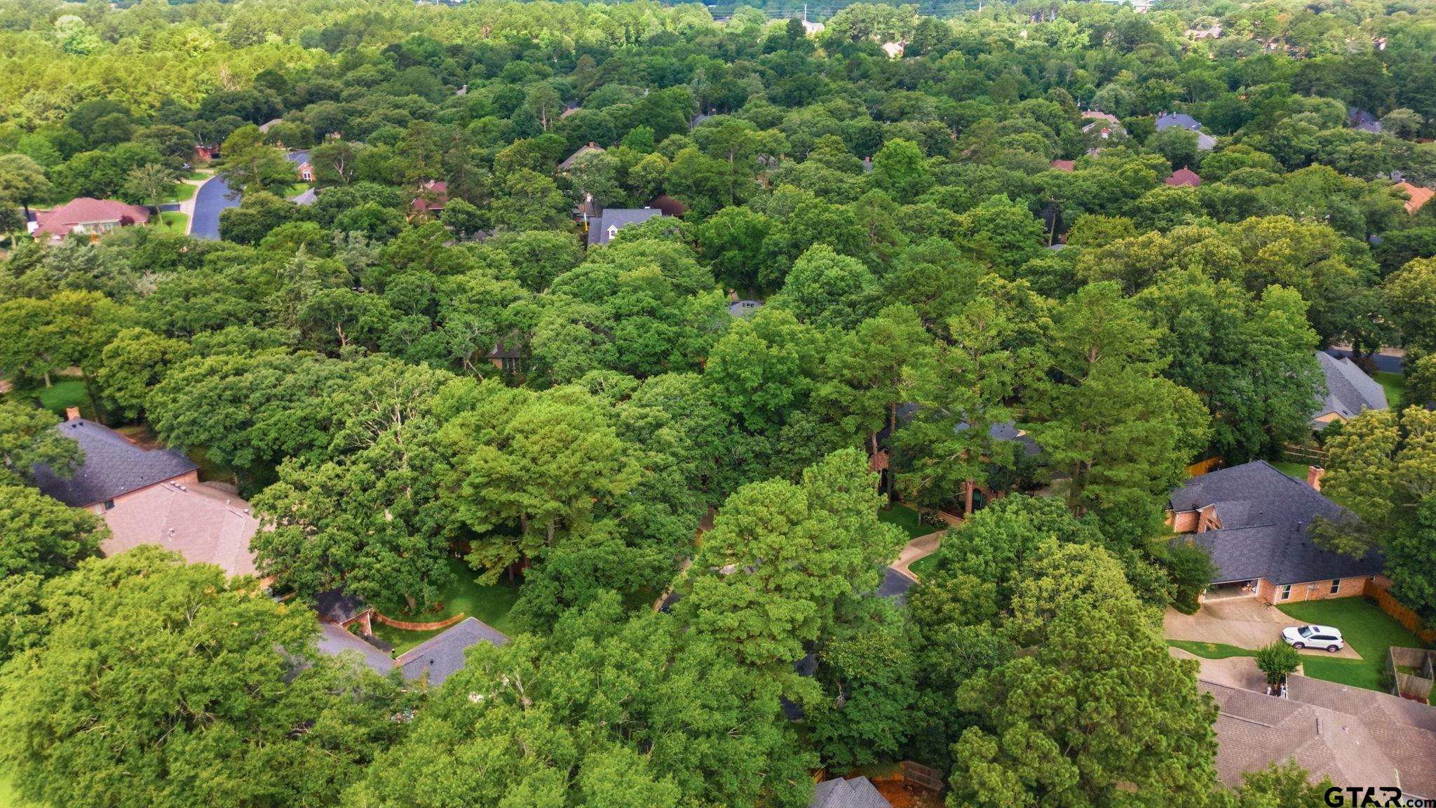 4117 Hollow Oak Cir