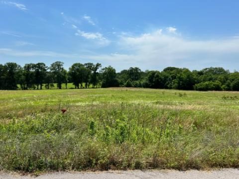 Lot 25 PR 7017