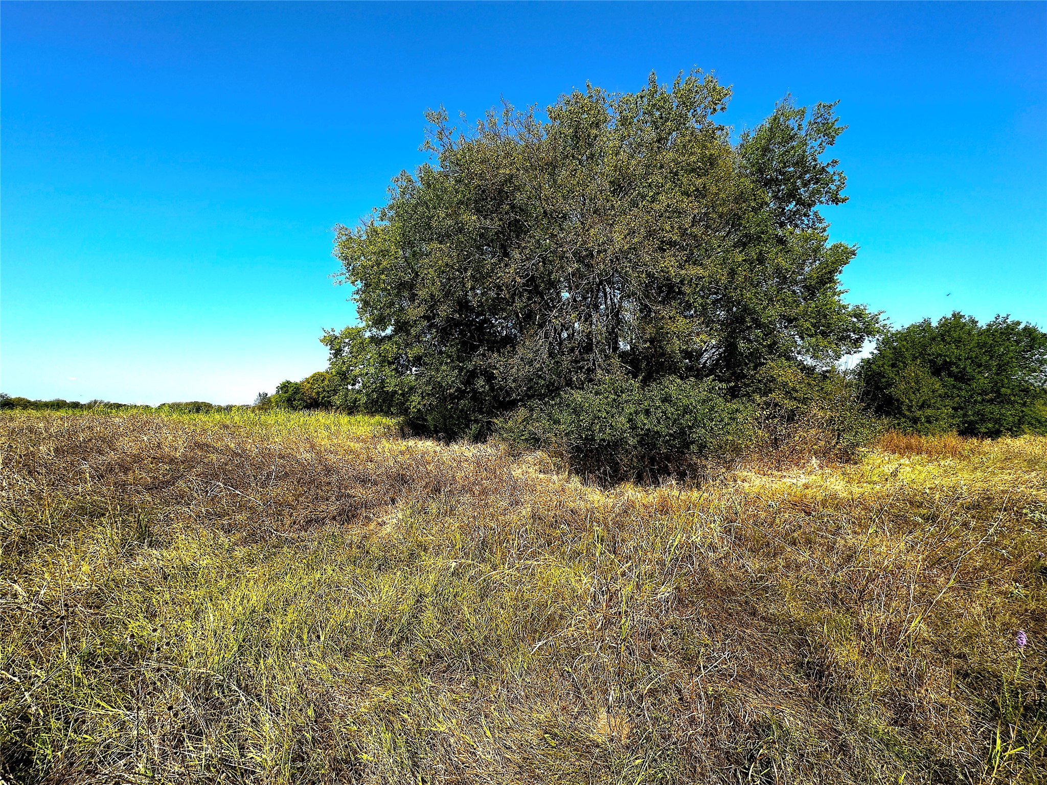 0 Choctaw Trail