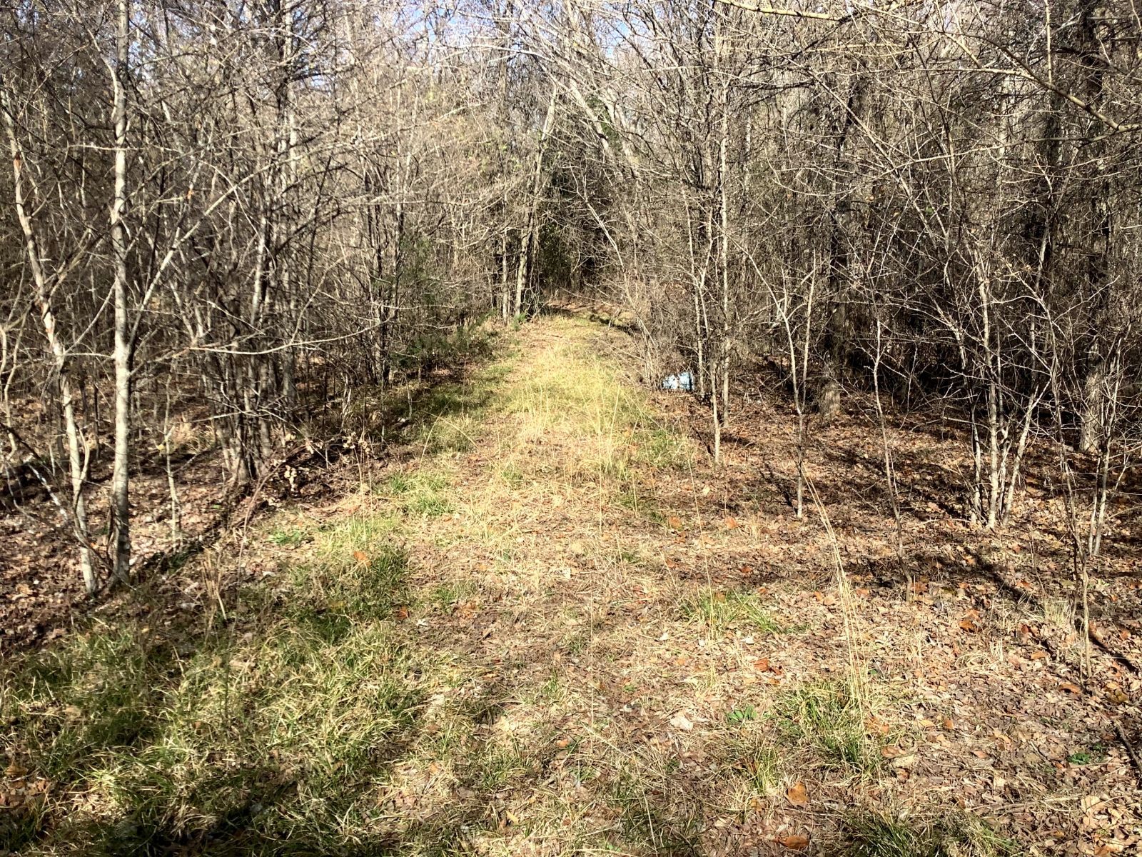 TBD County Road 4076
