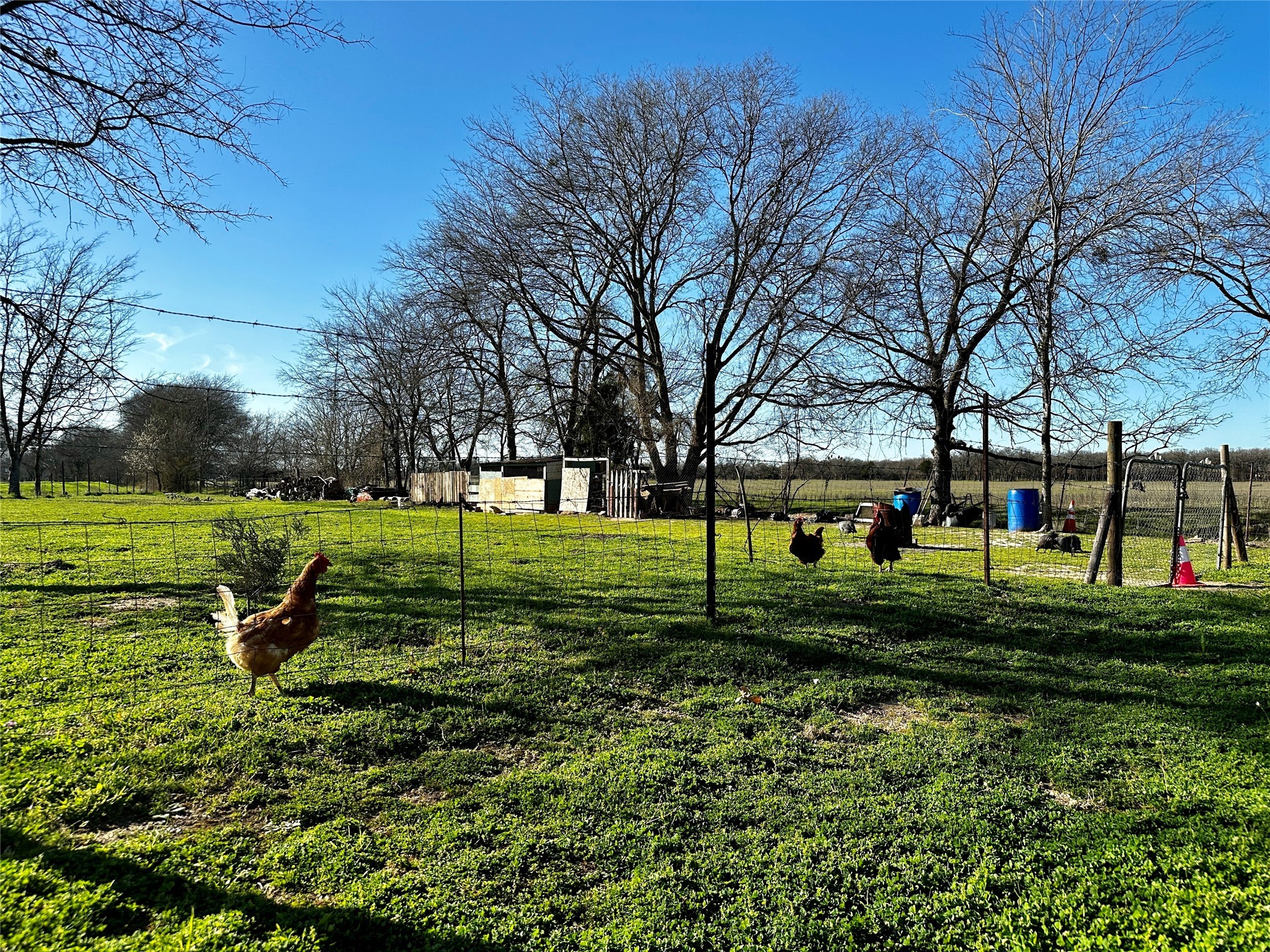 705 W Cedar Creek Parkway