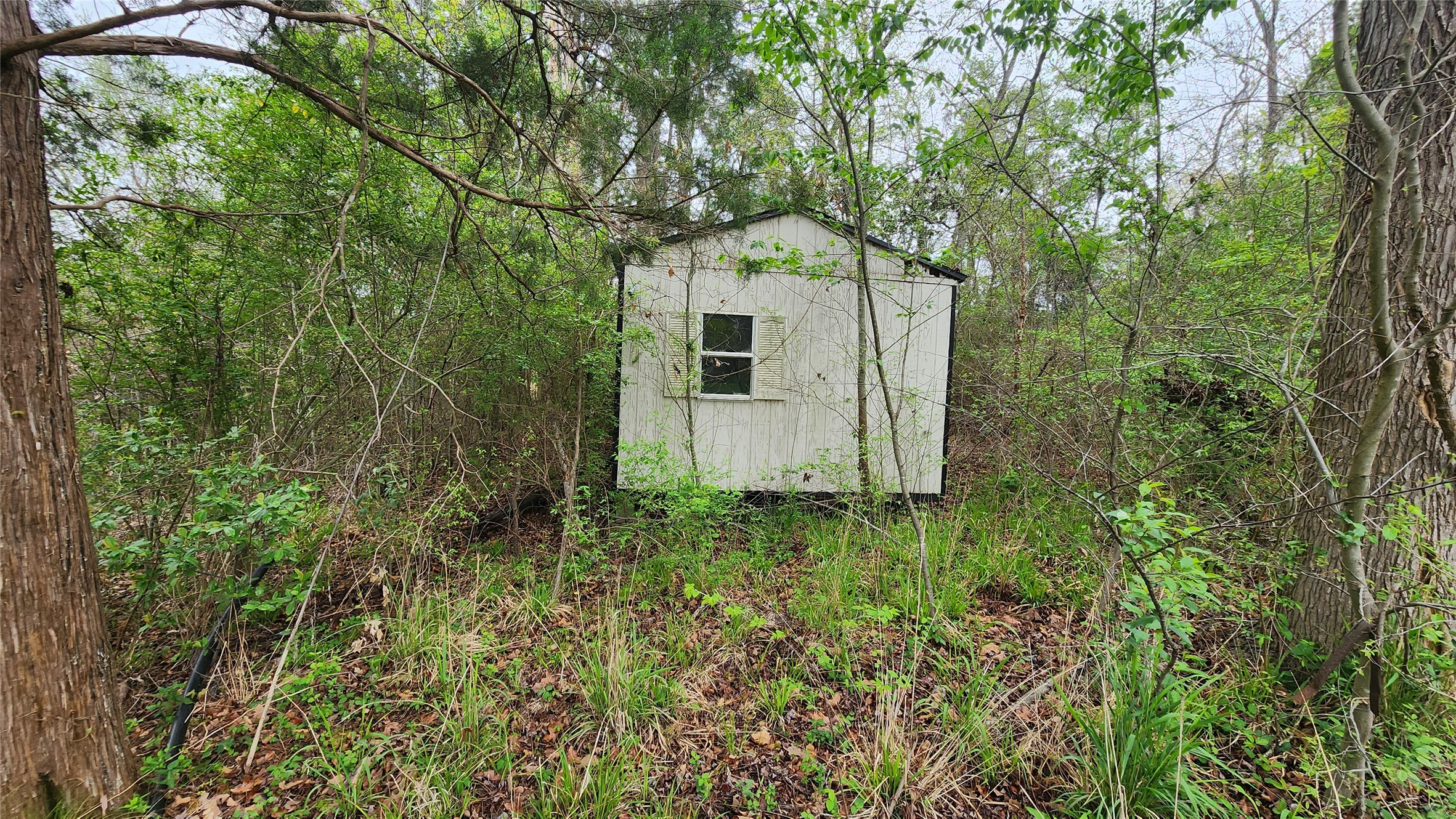 10092 E Lakeshore Drive