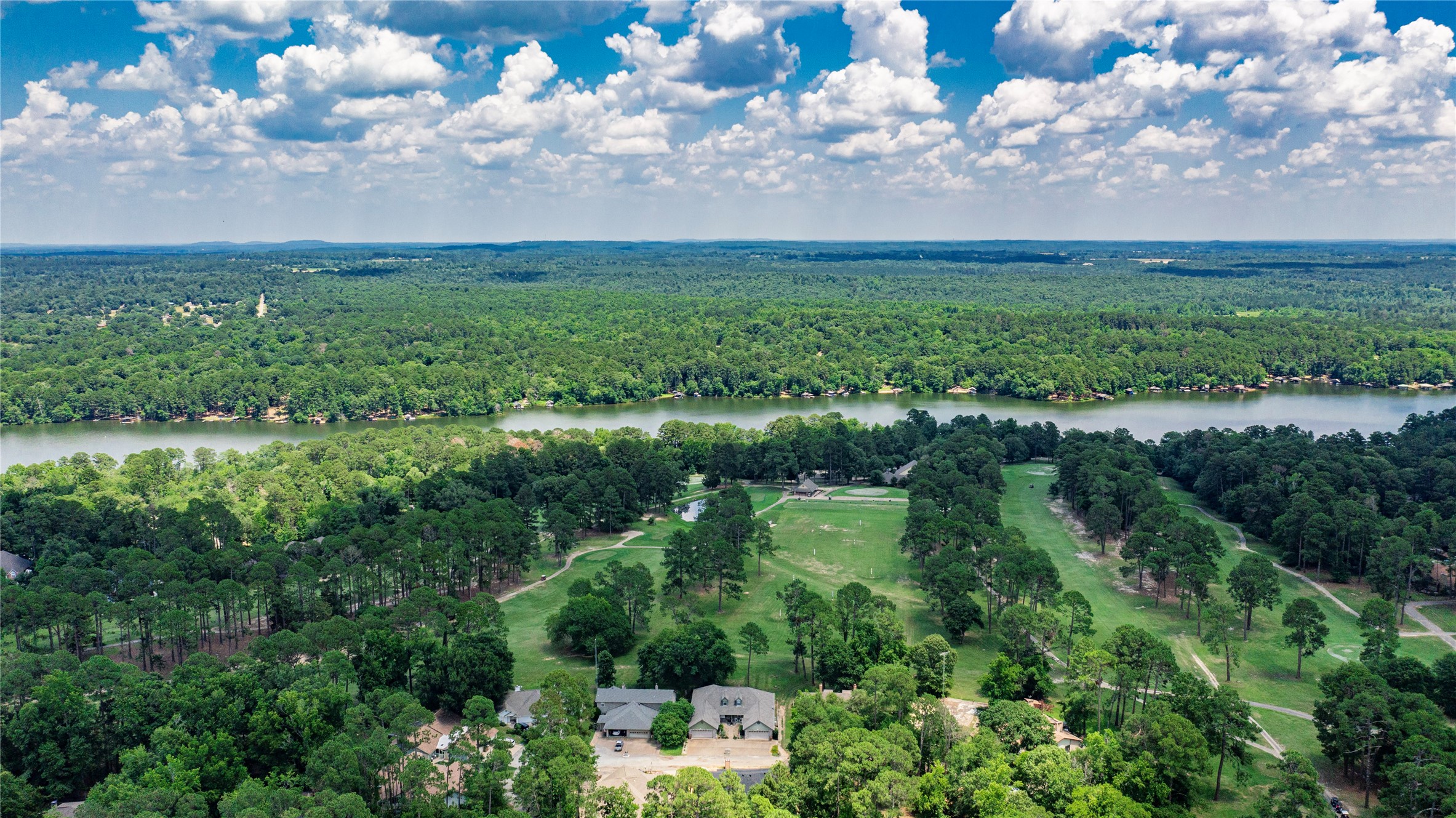 181 Pine Tree 100