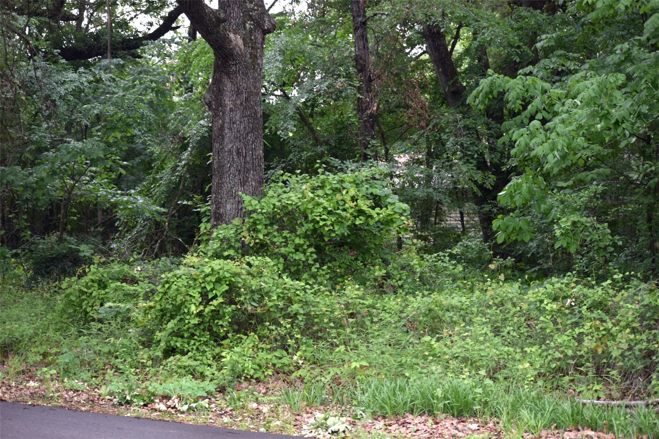 TBD Sierra Madre Street