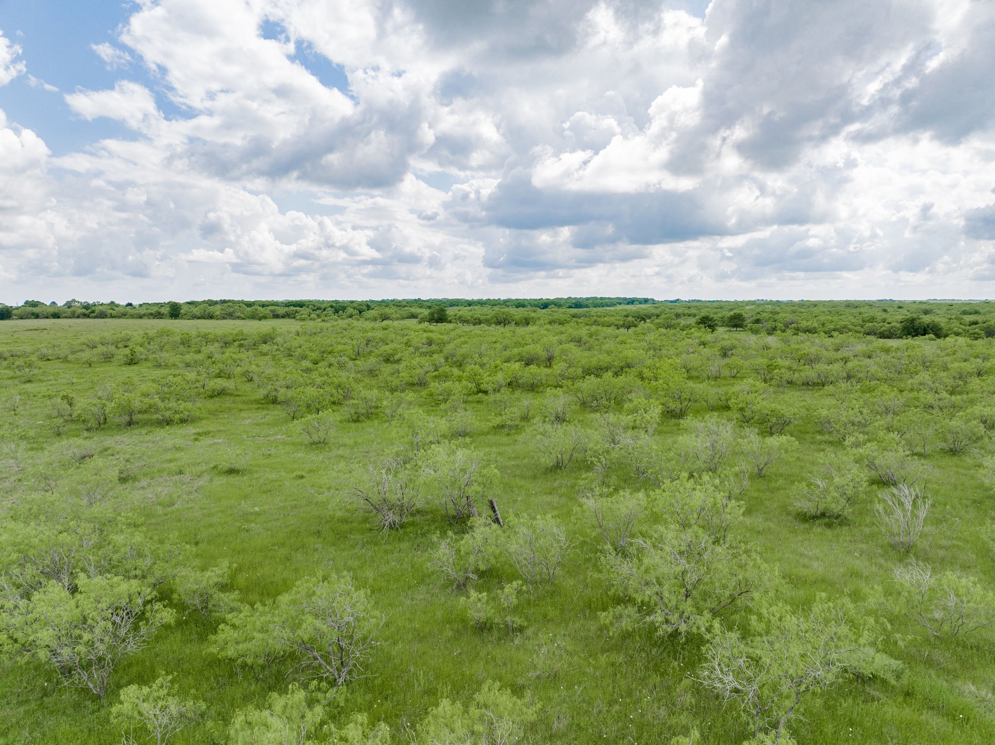 TBD County Road 1126