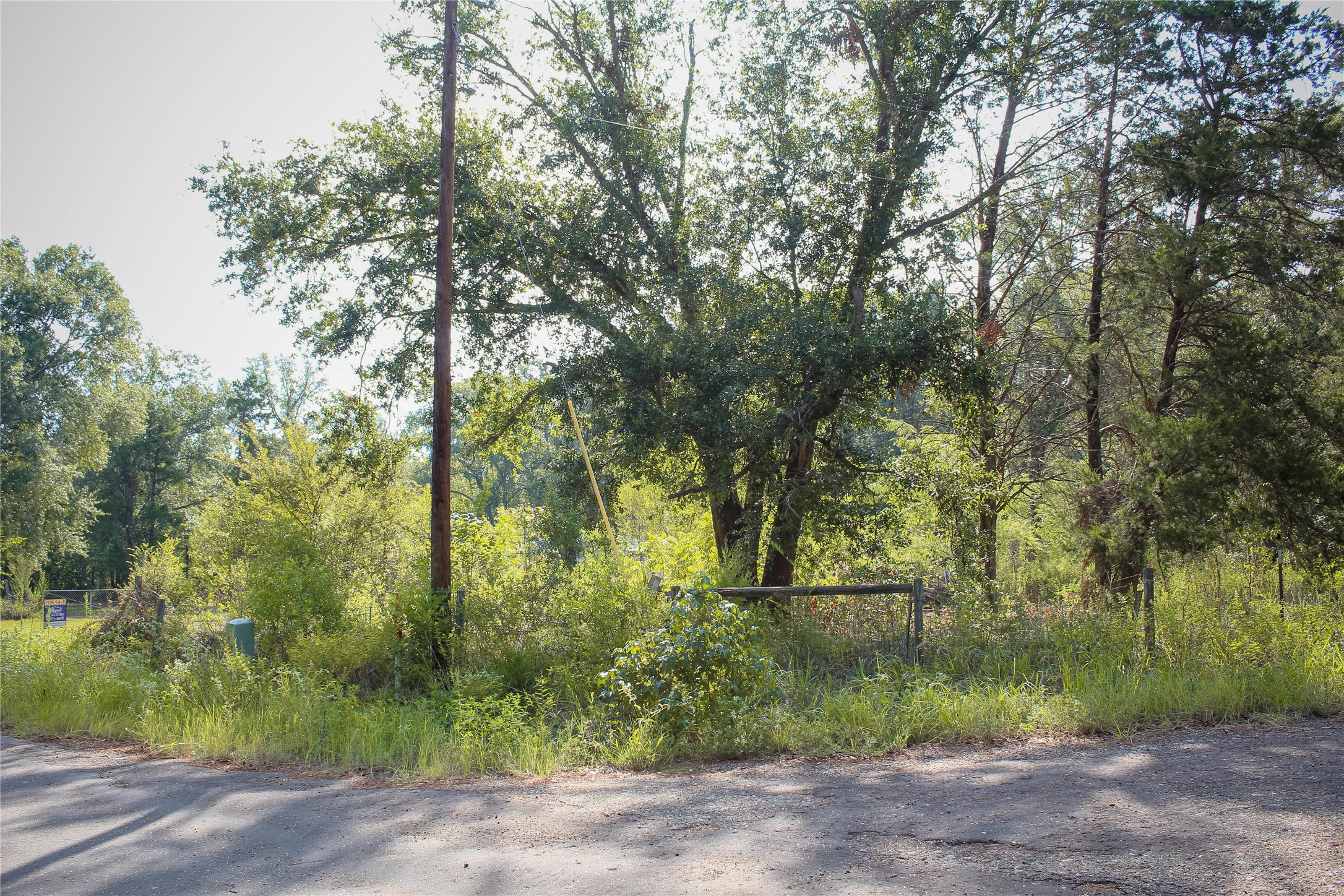10074 Giraffe Road