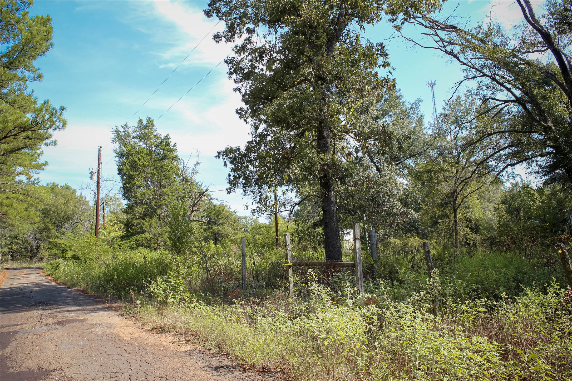 10074 Giraffe Road