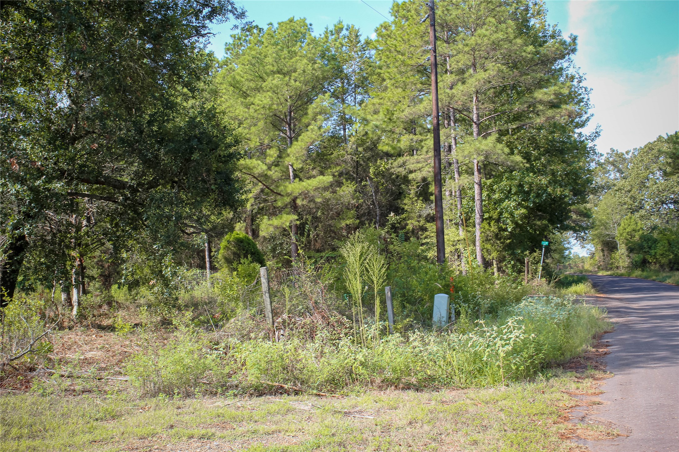 10074 Giraffe Road