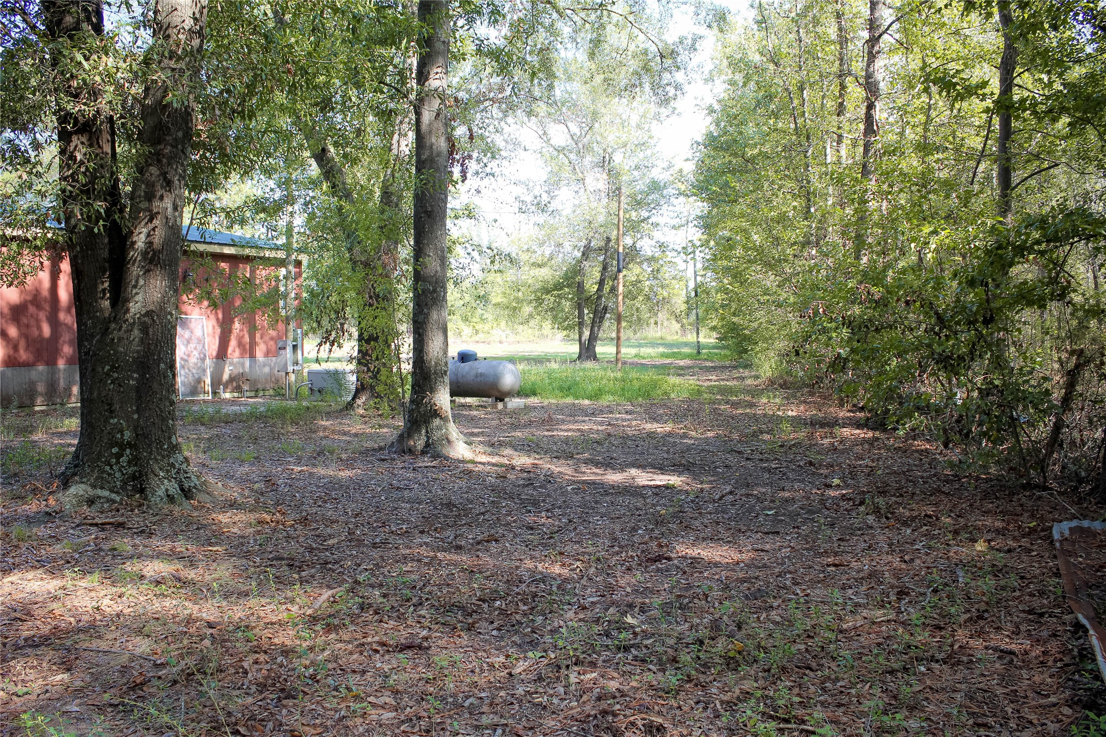 10074 Giraffe Road