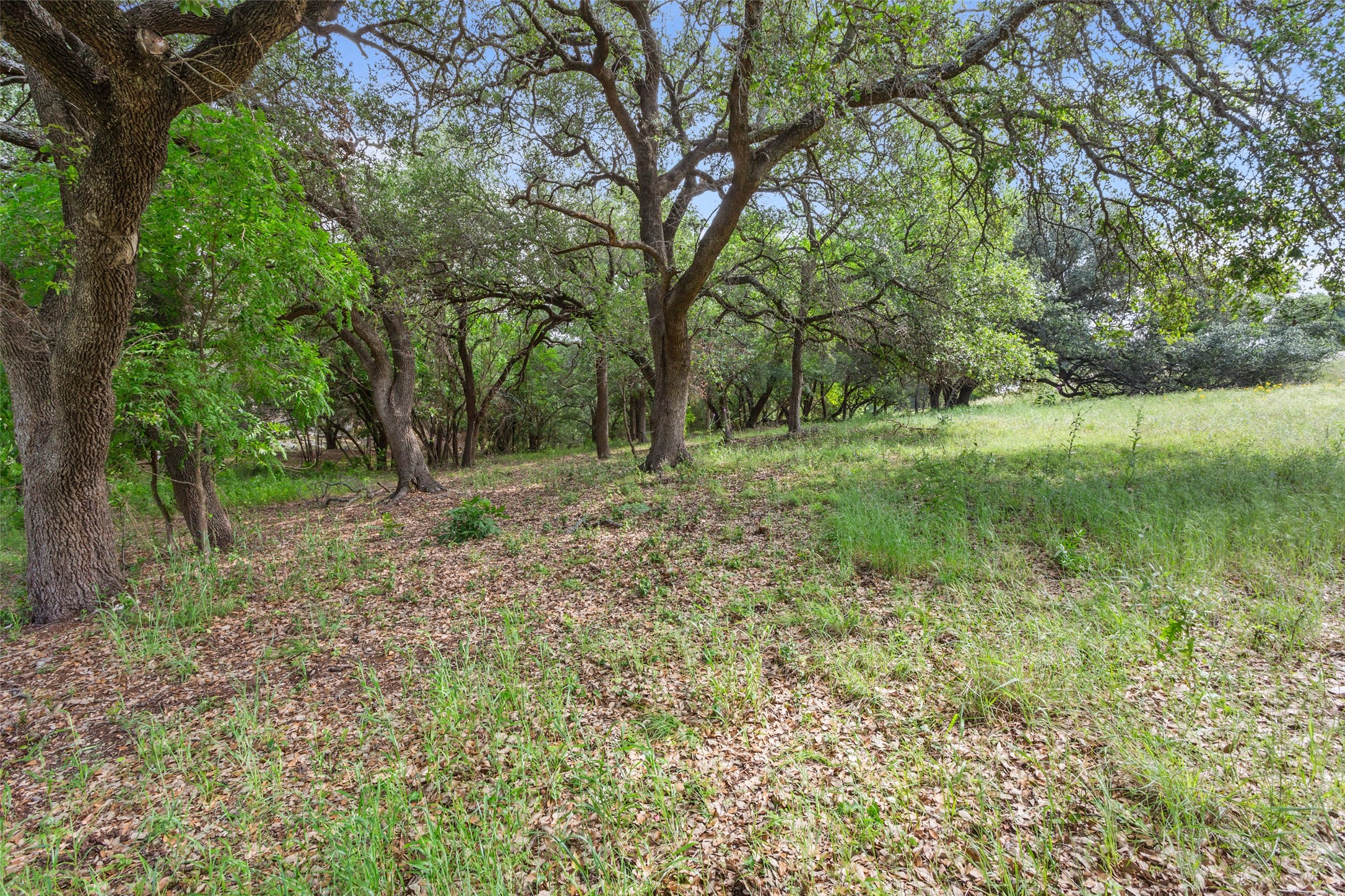 42051 Crooked Stick Drive