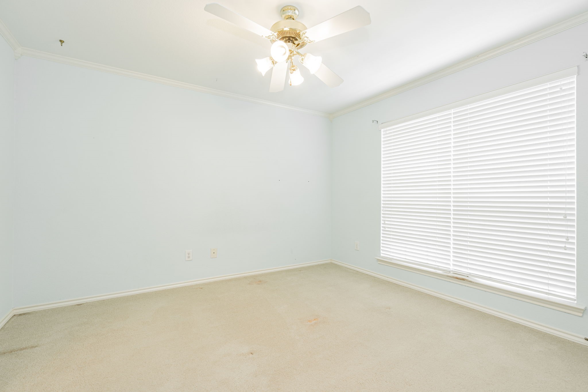 511 Potomac Lane