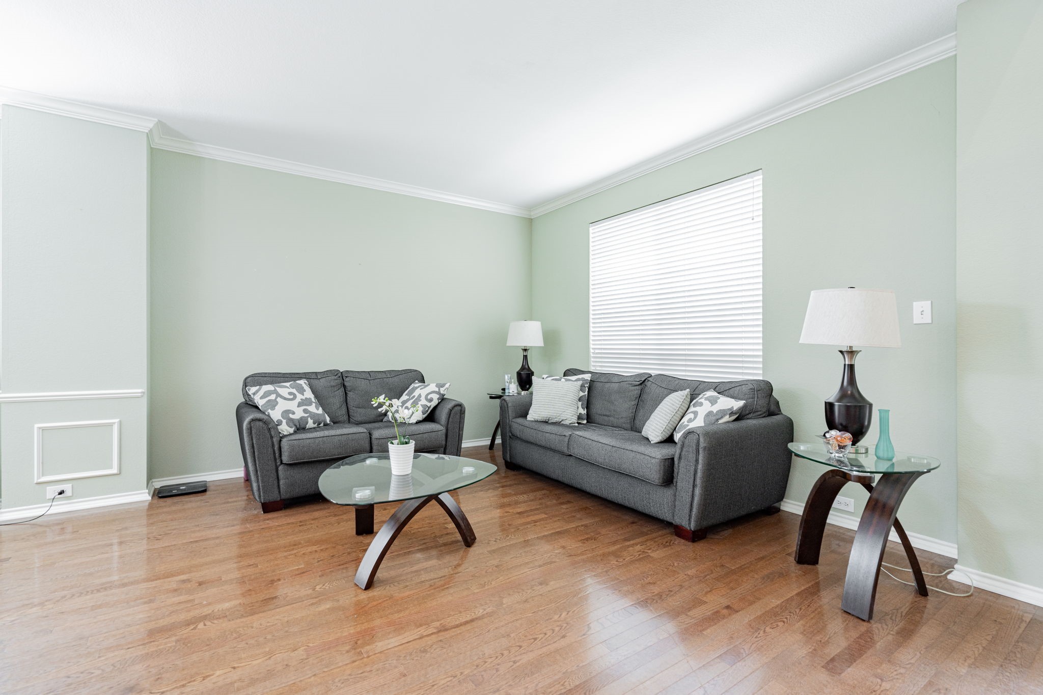 511 Potomac Lane