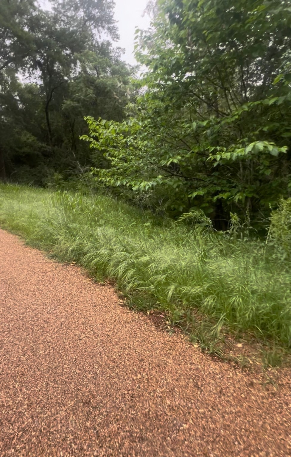 000 Cartwright Drive