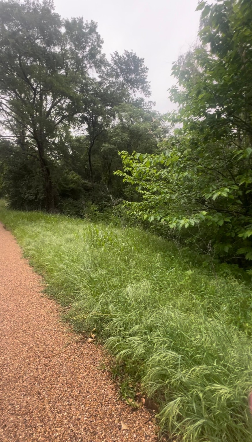 000 Cartwright Drive