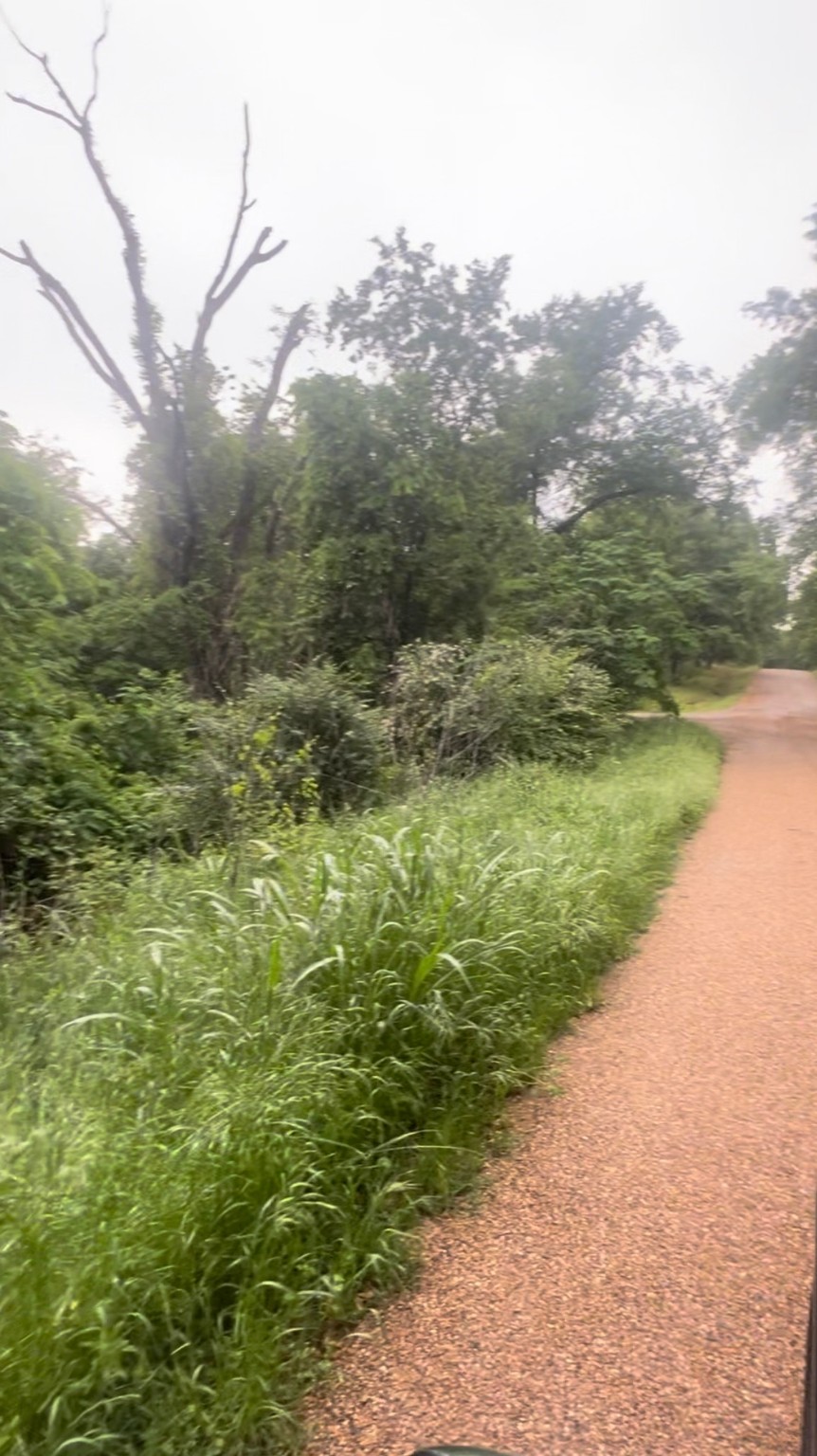 000 Cartwright Drive