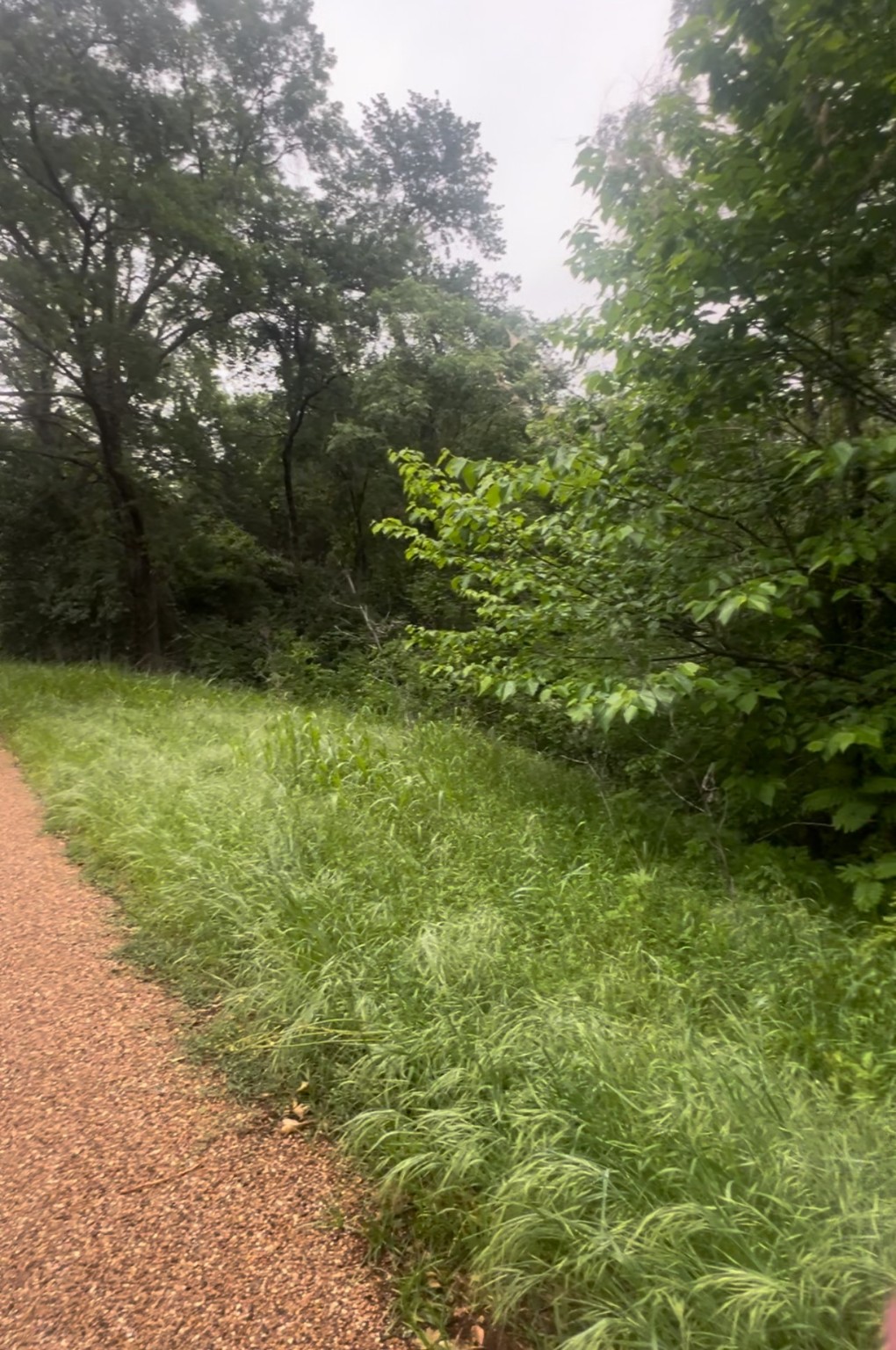 000 Cartwright Drive